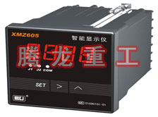 溫度表、數(shù)字顯示儀、濕度表