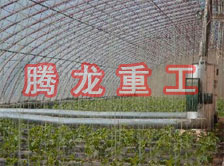 大棚花卉供暖設(shè)備、大棚卉采暖設(shè)備、大棚花卉取暖設(shè)備